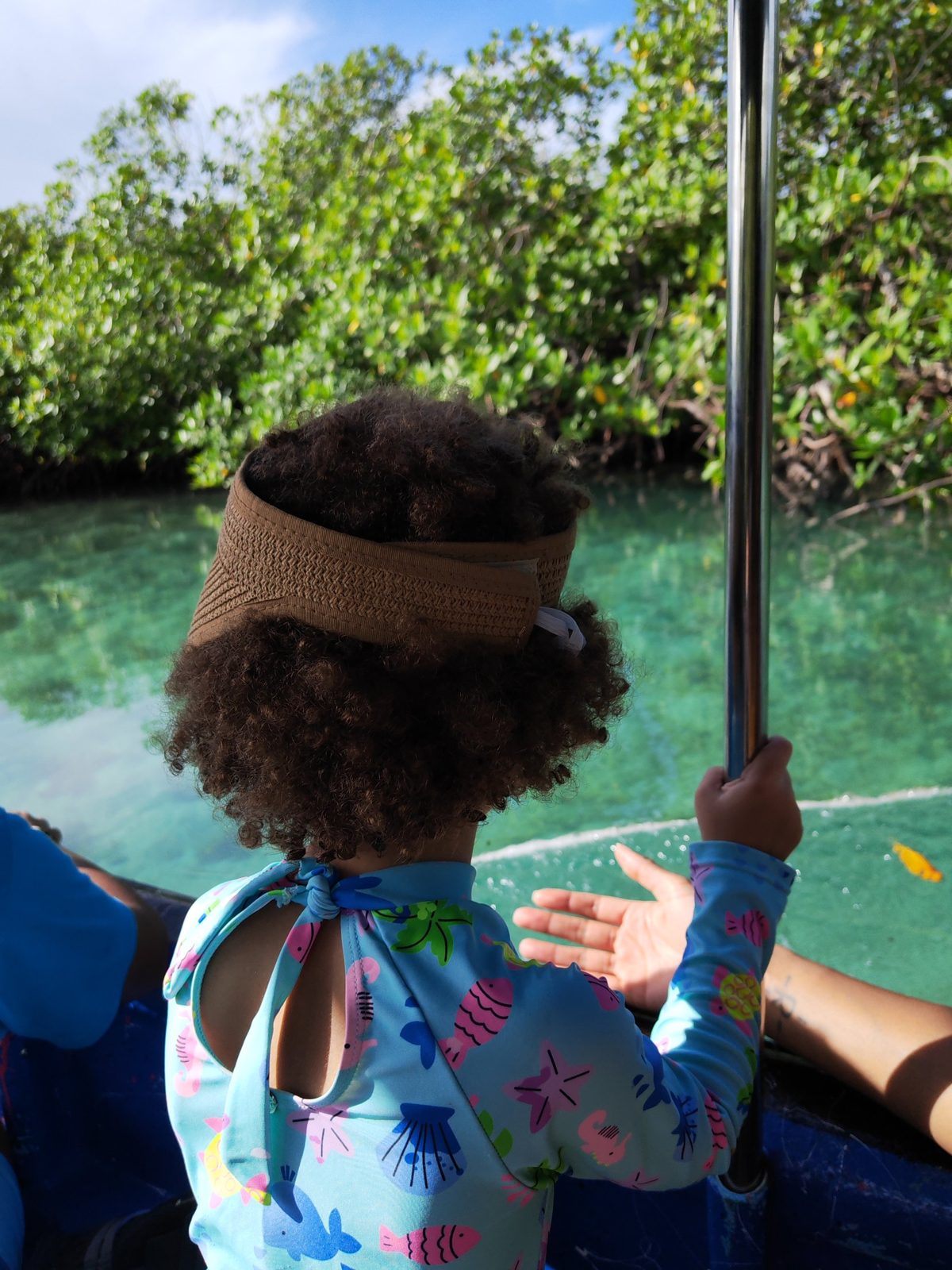 Clear water and mangroves seen from the boat