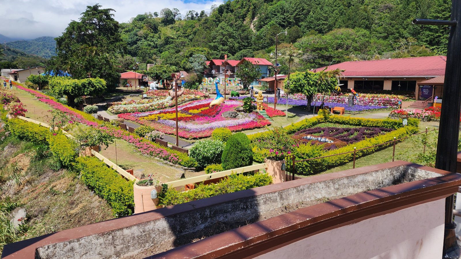 Flower gardens in Boquete