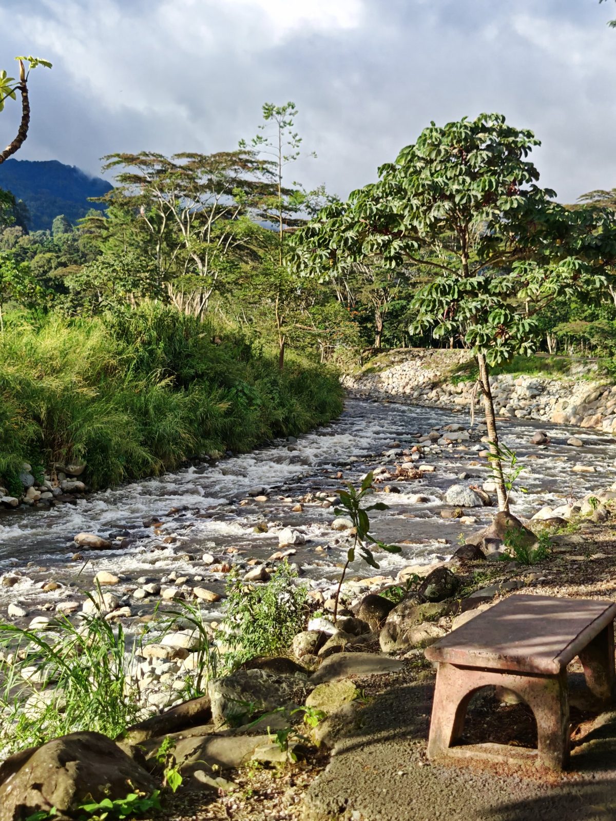 Mountain river in the highlands
